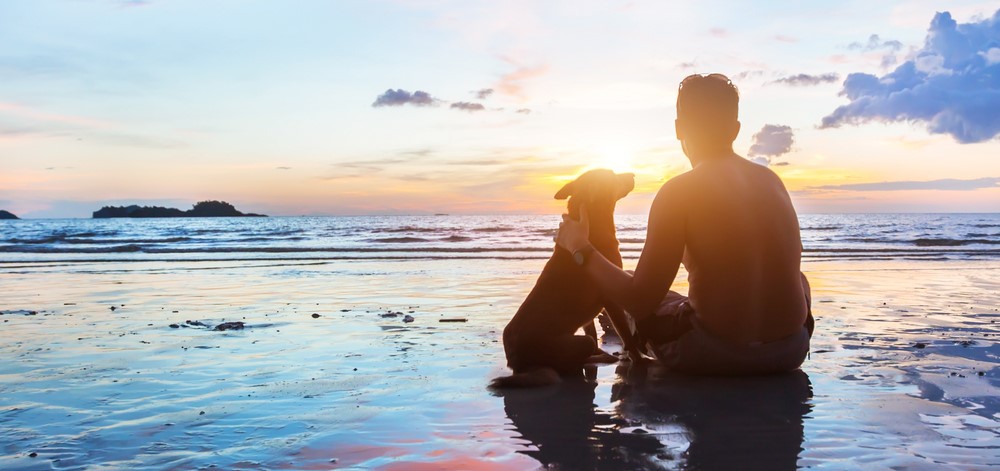man and dog sitting together on the beach at sunset | compliance software easy assessments