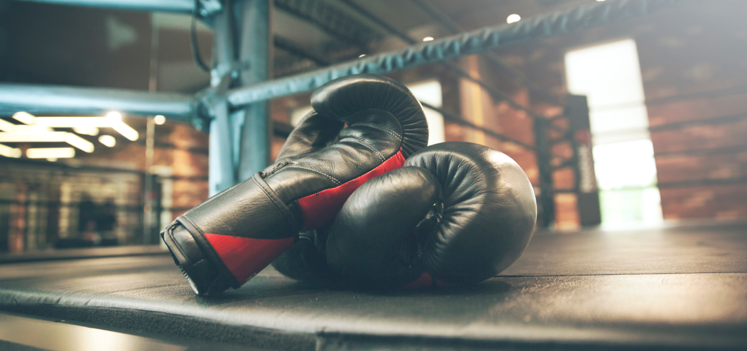 Boxing gloves on a boxing mat | TCT Portal vs. spreadsheets